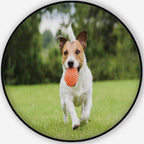 HitecFunny pet Dog Playing with OranToy Ball Pet Mat,098866 for Dogs and Cats,5'Round