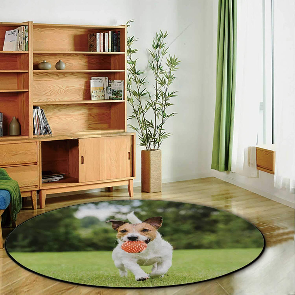 HitecFunny pet Dog Playing with OranToy Ball Pet Mat,098866 for Dogs and Cats,5'Round