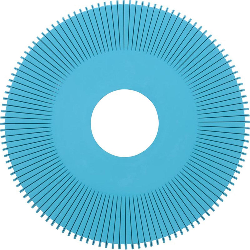 PENTAIR POOL PRODUCTS Disc, Pentair E-Z Vac Cleaner, Pleated