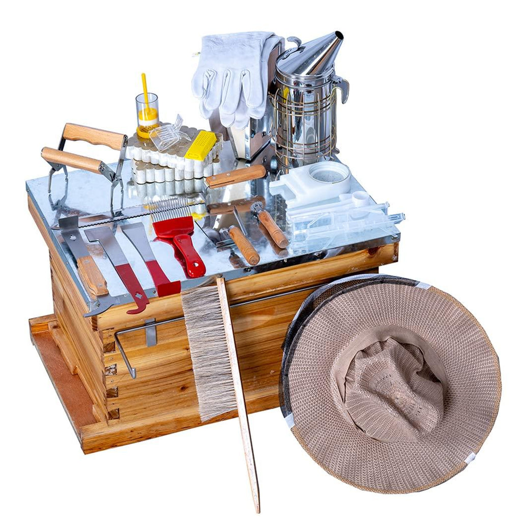 beehive starter kit 10-frame bee boxes and frames starter kit wax coated bee hives and supplies starter kit including beekeepig tools kit with beekeeping veil