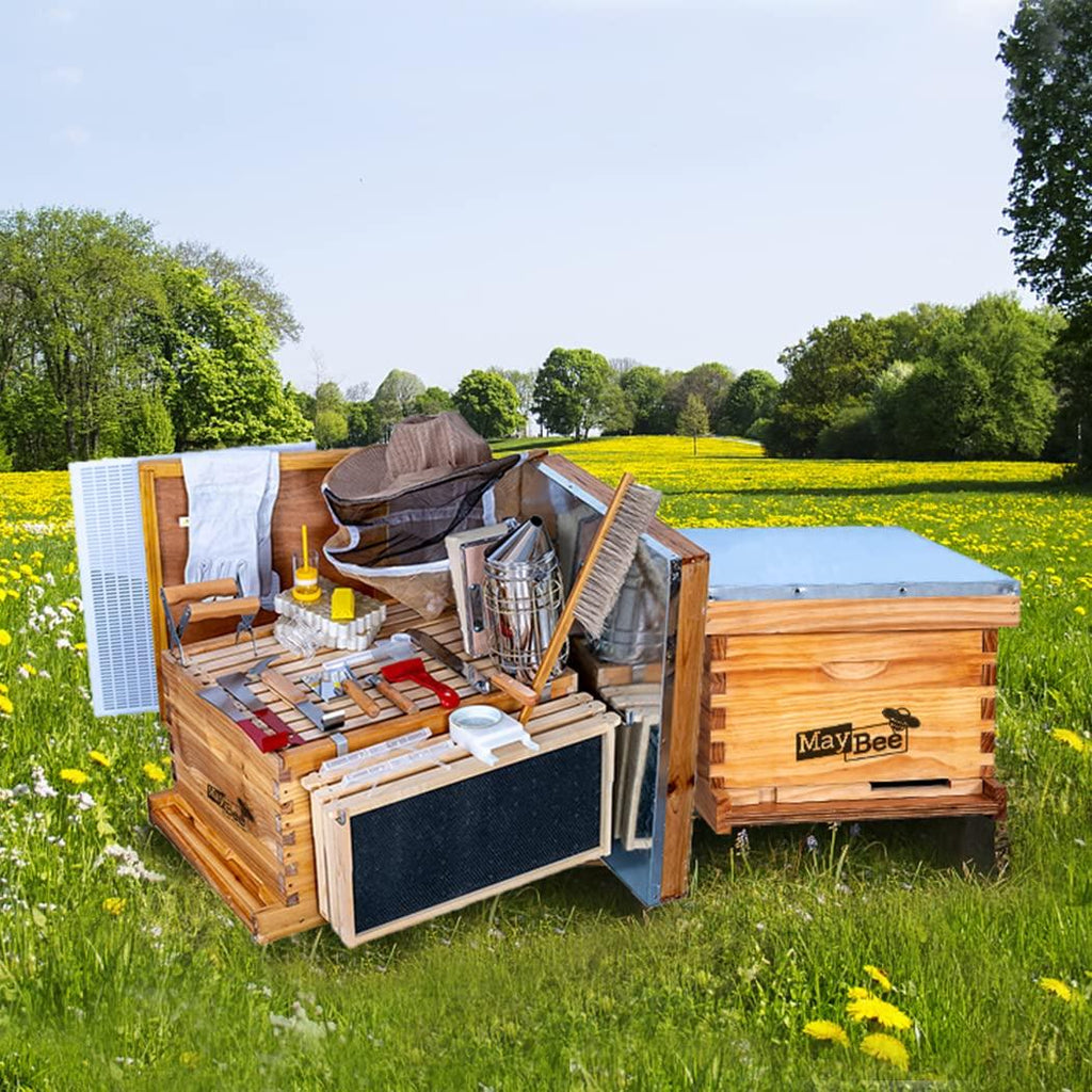 beehive starter kit 10-frame bee boxes and frames starter kit wax coated bee hives and supplies starter kit including beekeepig tools kit with beekeeping veil