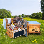 beehive starter kit 10-frame bee boxes and frames starter kit wax coated bee hives and supplies starter kit including beekeepig tools kit with beekeeping veil