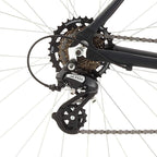 Raleigh Bikes Cadent