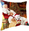 BEROVE Santa Claus Christmas Square Pillow Pillow Pillow Pillow Covers Decorative Christmas