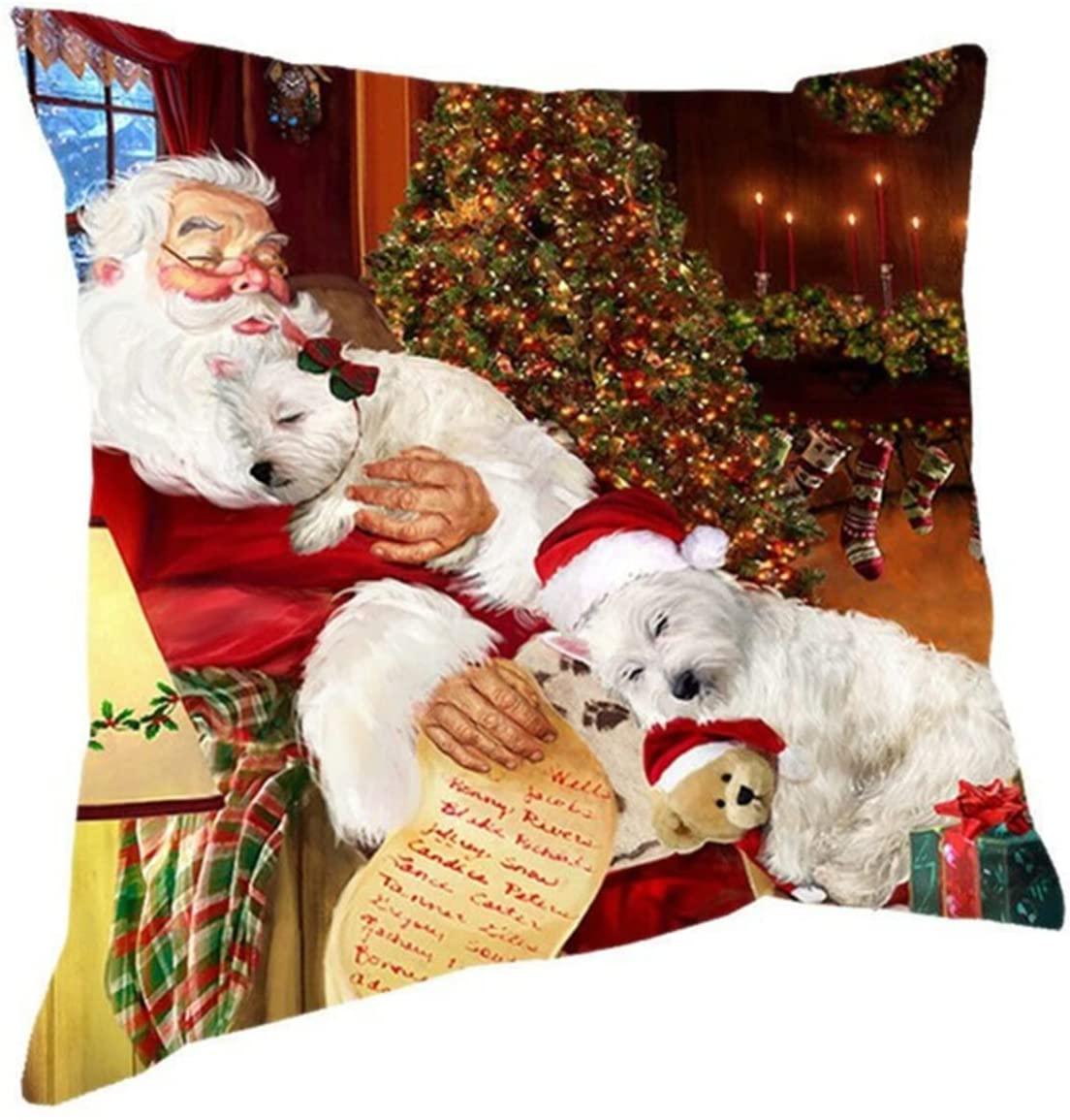 BEROVE Santa Claus Christmas Square Pillow Pillow Pillow Pillow Covers Decorative Christmas