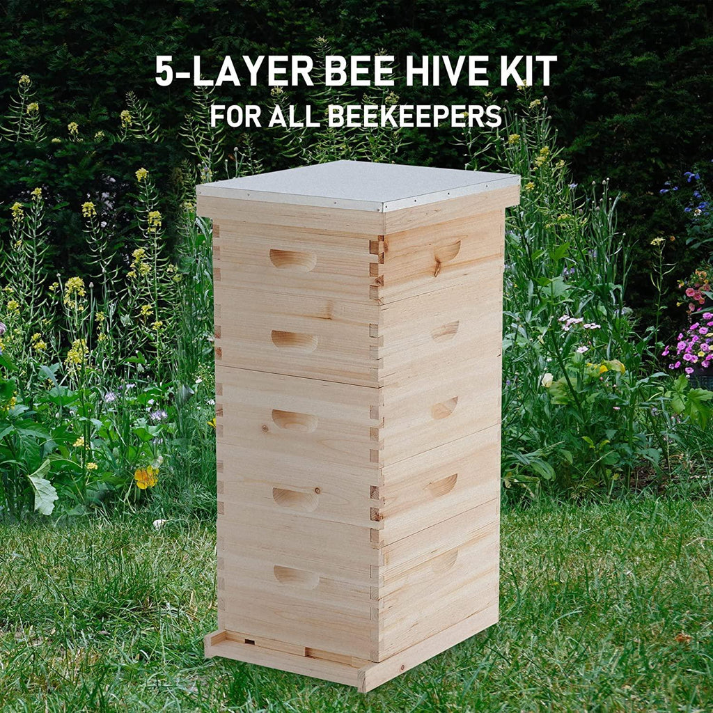 co-z 5 layer bee hive, beehive for honey, bee box beekeeping supplies, hive kit for starter beekeeper (no frames)