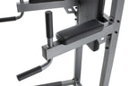 ProForm Carbon Strength Power Tower with Dip Stand, 300 lb. Weight Capacity
