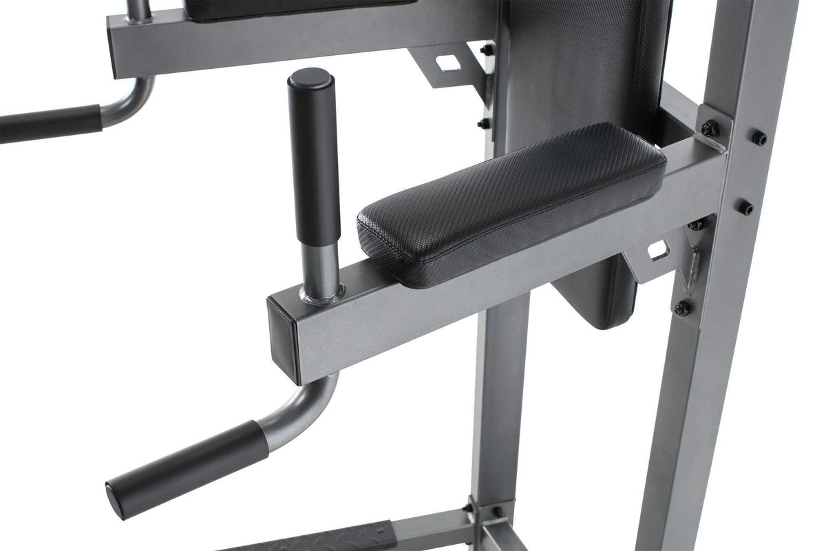 ProForm Carbon Strength Power Tower with Dip Stand, 300 lb. Weight Capacity