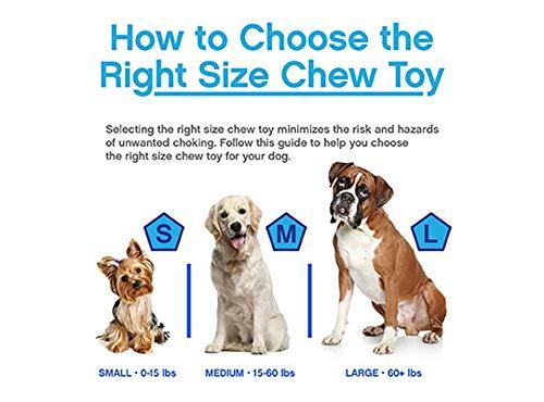 Chuckit! Ultra Squeaker Ball Oran&amp; Blue, Medium 2t (24 x 1ct)