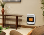 Dyna-Glo 12,000 BTU Liquid Propane Infrared Vent Wall Heater