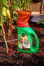 miracle-gro shake 'n feed tomato, fruit &amp; vegetable plant food, plant fertilizer, 4.5 lbs. (6-pack)