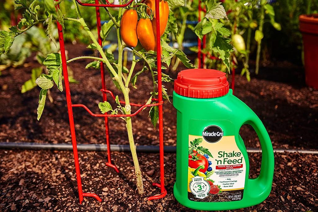 miracle-gro shake 'n feed tomato, fruit &amp; vegetable plant food, plant fertilizer, 4.5 lbs. (6-pack)