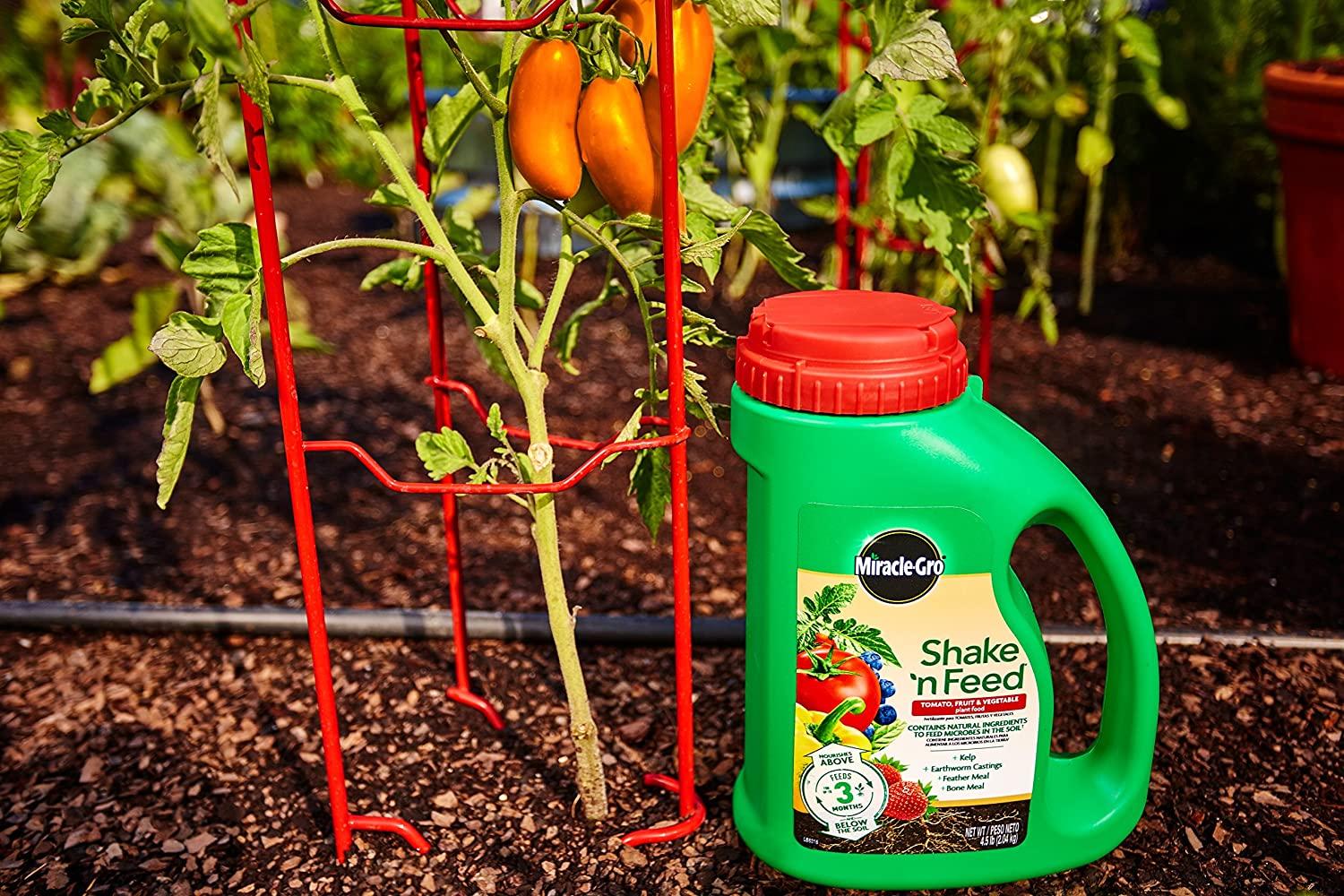 miracle-gro shake 'n feed tomato, fruit &amp; vegetable plant food, plant fertilizer, 4.5 lbs. (6-pack)