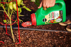 miracle-gro shake 'n feed tomato, fruit &amp; vegetable plant food, plant fertilizer, 4.5 lbs. (6-pack)