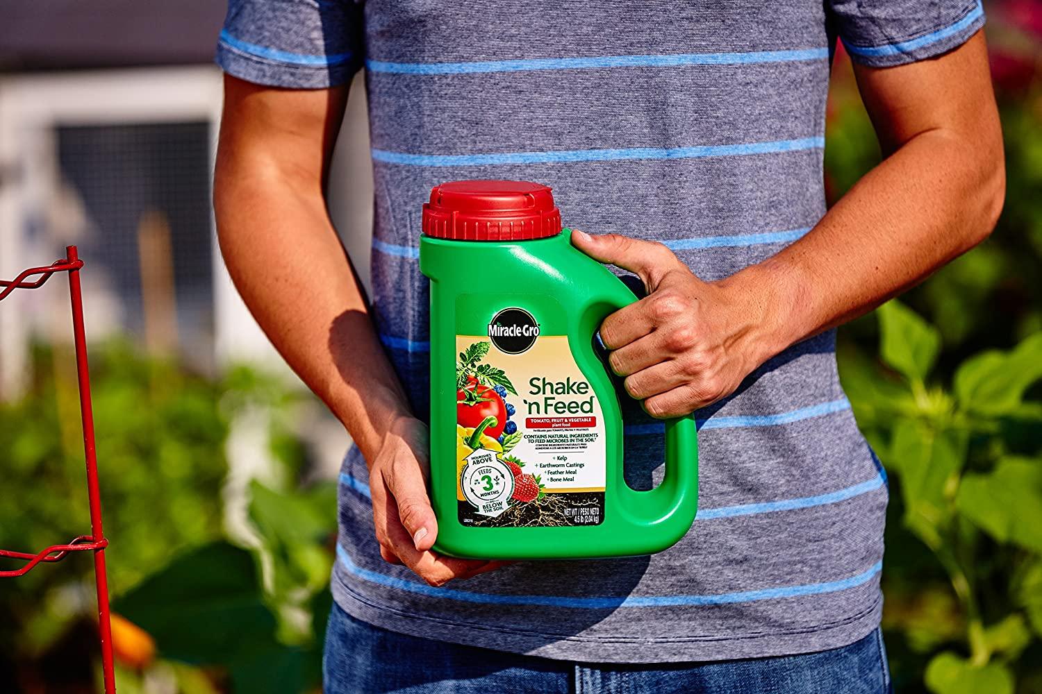 miracle-gro shake 'n feed tomato, fruit &amp; vegetable plant food, plant fertilizer, 4.5 lbs. (6-pack)