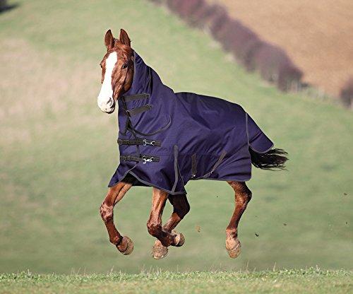 Shires Stormbreaker 1200D Combo Lite