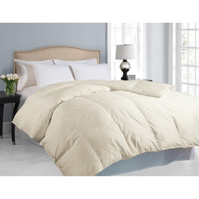 Hotel Grand  Oversized 700 Thread Count White Down Comforter Ivory King