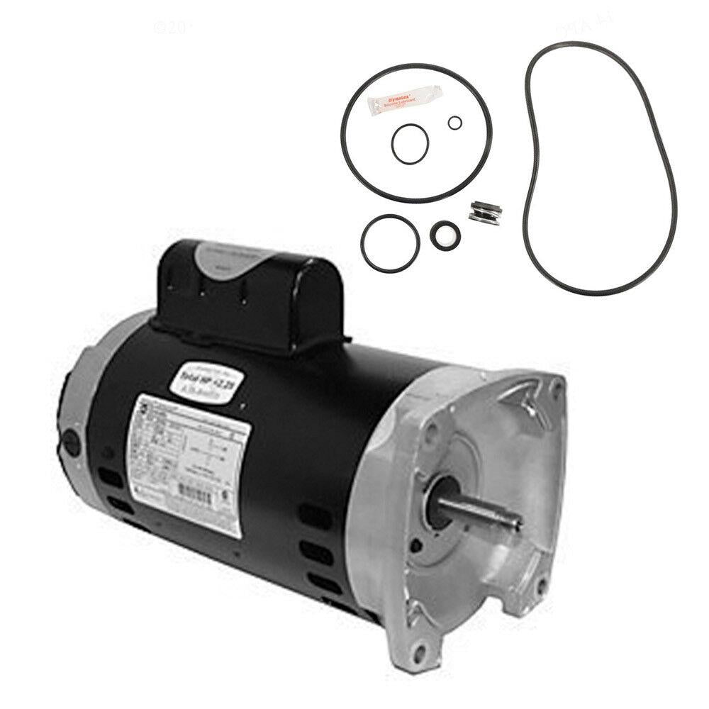 sta-rite max-e-pro 2hp p6r6g-208l repl motor kit ao smith sq1202 w / go-kit-79
