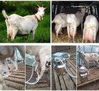 limeid 7l electric milking machine for goat cow stainless steel vacuum pump bucket automatic portable livestock for farm household goat milker,forgoats