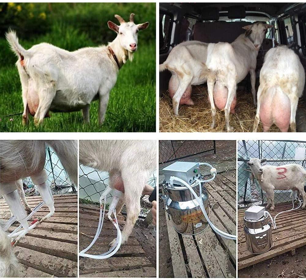 limeid 7l electric milking machine for goat cow stainless steel vacuum pump bucket automatic portable livestock for farm household goat milker,forgoats