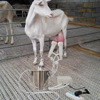 portable pulsation vacuum pump goat milker livstock milking machine, 14l goat milking machine, cow milking machine electric, automatic portable livestock milking equipment, common for cattle and shee