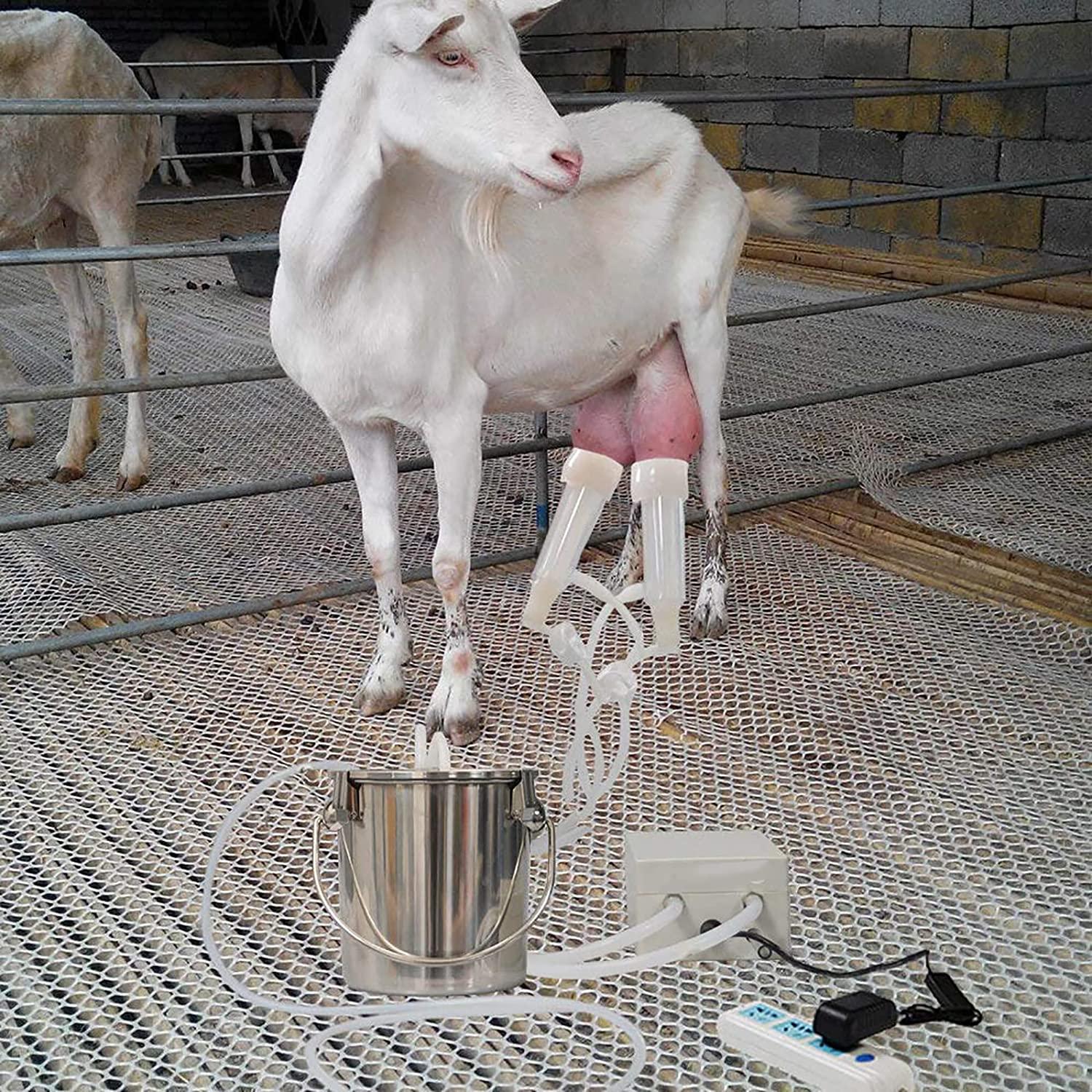 portable pulsation vacuum pump goat milker livstock milking machine, 14l goat milking machine, cow milking machine electric, automatic portable livestock milking equipment, common for cattle and shee