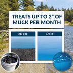 airmax muckaway natural pond muck remover – safely clears muck and sludge from beaches and shorelines; fish, plant and wildlife friendly – 6 month supply, 16 scoops