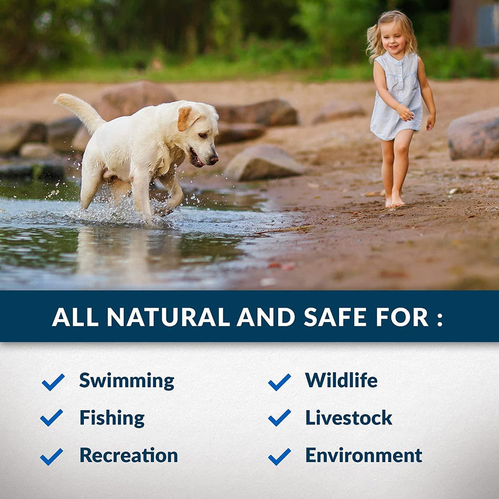 airmax muckaway natural pond muck remover – safely clears muck and sludge from beaches and shorelines; fish, plant and wildlife friendly – 6 month supply, 16 scoops