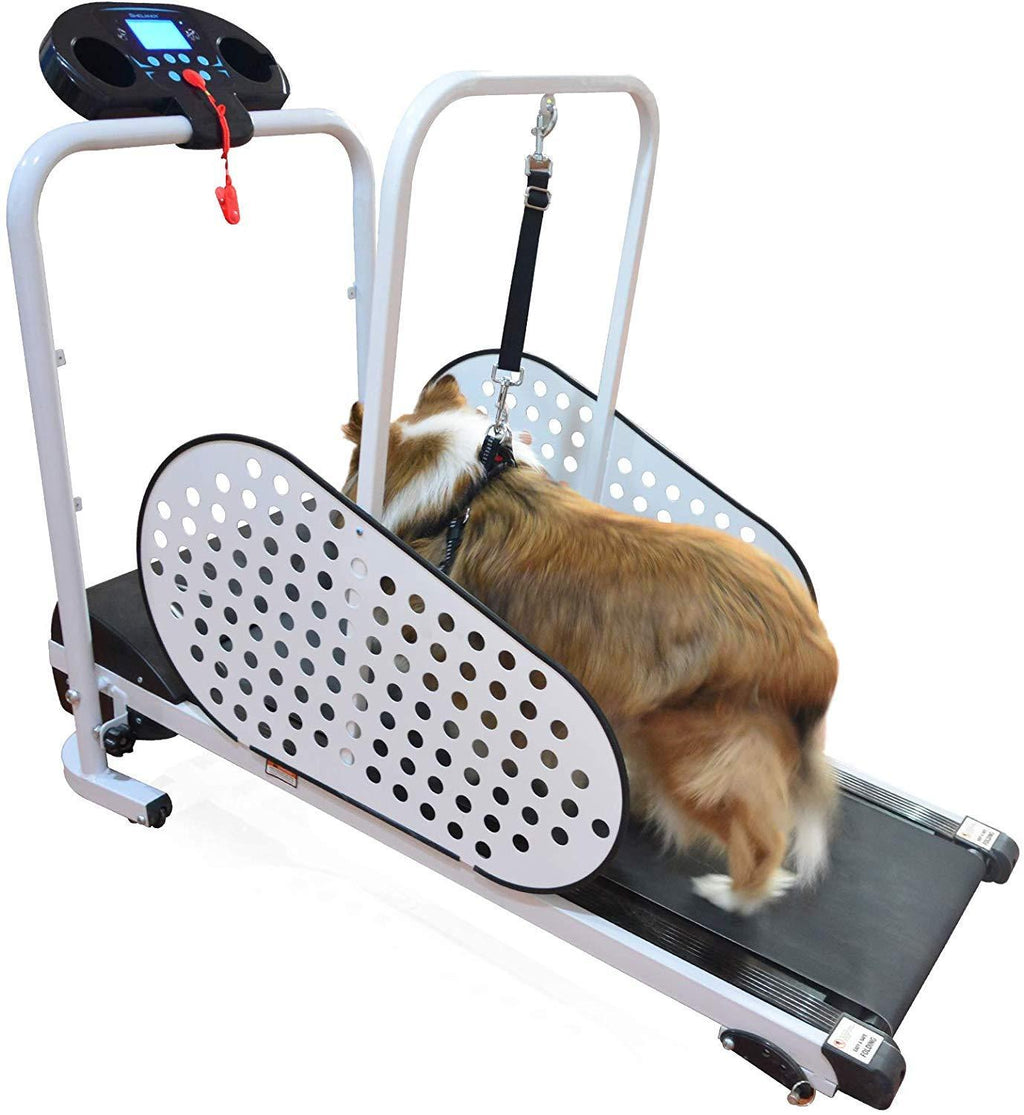 BINGBING Dog Treadmill, Pet Treadmill Smart and Motorized Treadmill for Small &amp; Medium Dogs