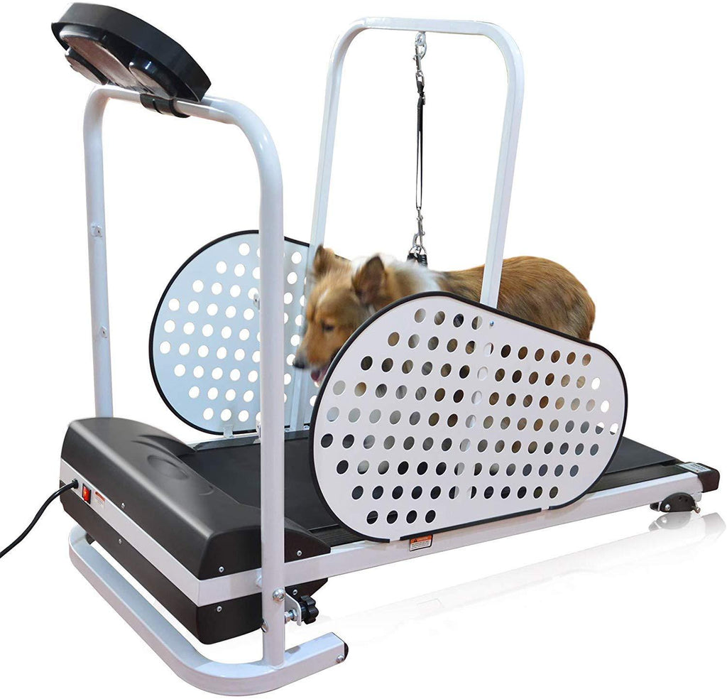 BINGBING Dog Treadmill, Pet Treadmill Smart and Motorized Treadmill for Small &amp; Medium Dogs