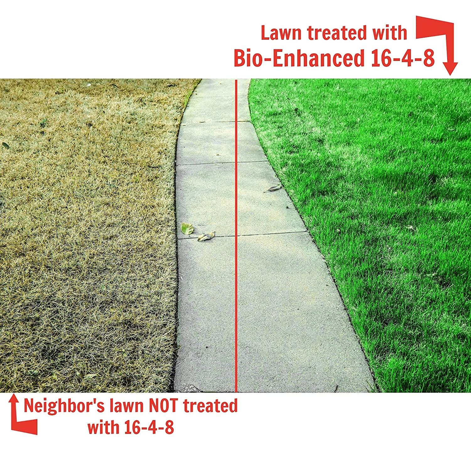 nature’s lawn &amp; garden - bio-enhanced 16-4-8 liquid lawn fertilizer for all grass types, with humic &amp; fulvic acid, molasses, and kelp seaweed - non-toxic, pet-safe (4 gallon bundle)