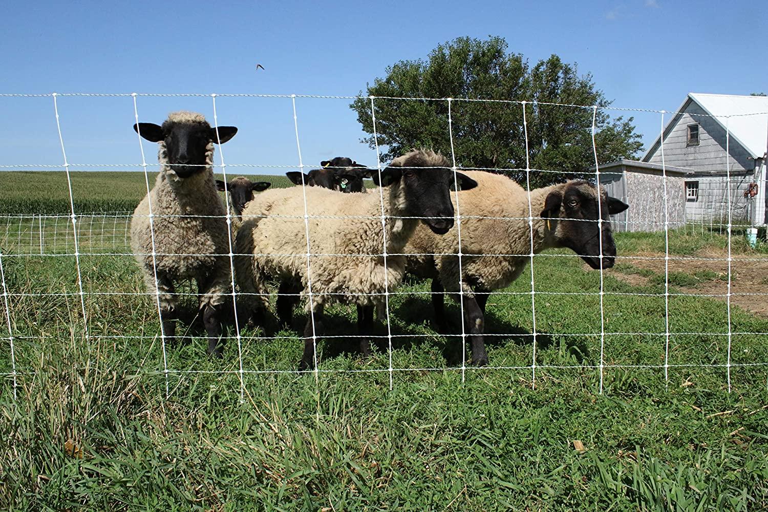 starkline premium electric sheep &amp; goat netting kit- ac energizer (9/35/8) for backyards, homesteaders, and livestock owners