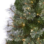Nearly Natural Green 5' Cashmere Artificial Christmas Tree with 250 Clear Prelit Incandescent Lights