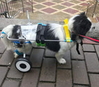 LYLYSS Pet Dog Wheelchair Disabled Dog Wheelchair Pet Moped,S