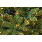 National Tree Company Clear Prelit Incandescent Green Pencil Christmas Tree, 6.5'