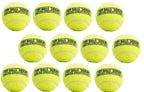 (Pack of 12) PetSport Tuff Squeaker Tennis Ball for Dogs - Size Original, 2.5-Inch