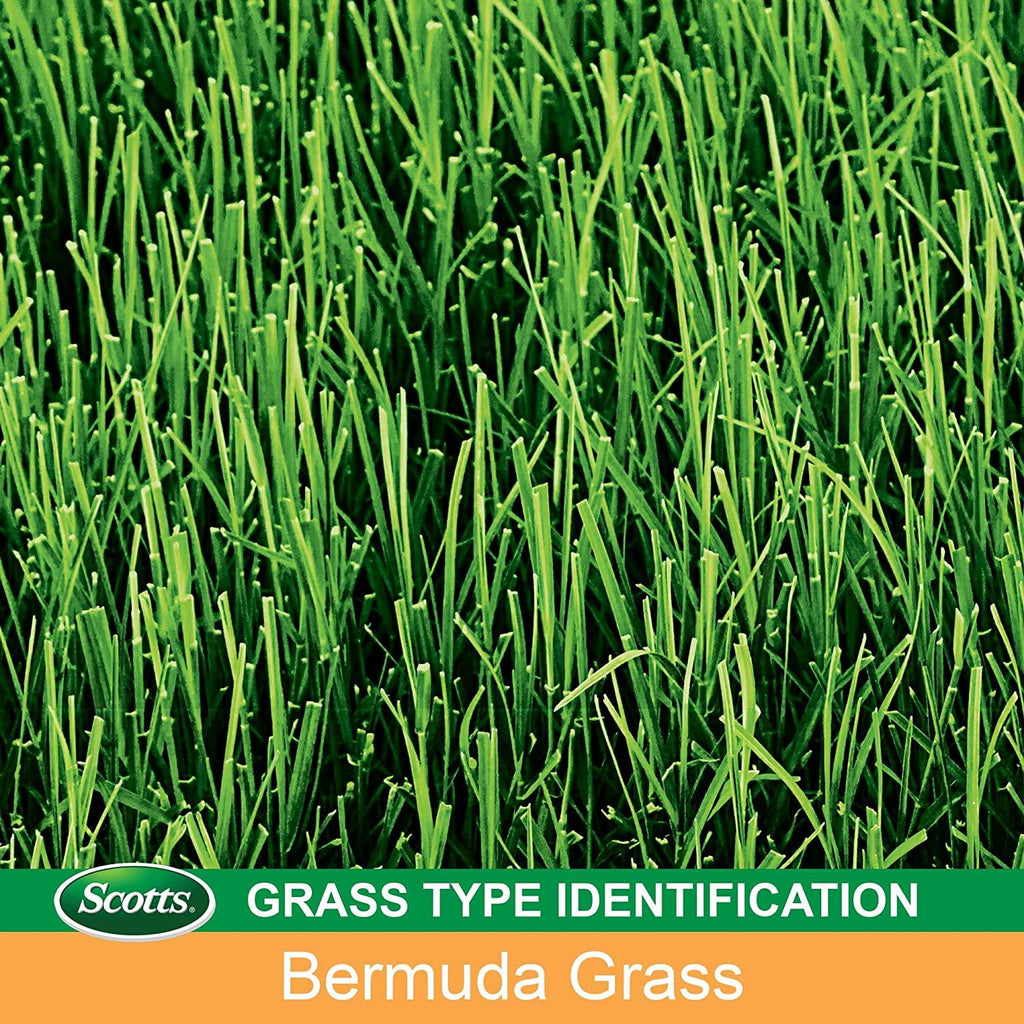 scotts turf builder grass seed bermudagrass 2 pack