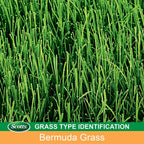 scotts turf builder grass seed bermudagrass 2 pack