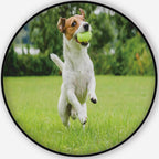 Funny Dog Playing with Tennis Ball Toy on Lawn Pet Mat,064281 for Dogs and Cats,5'Round