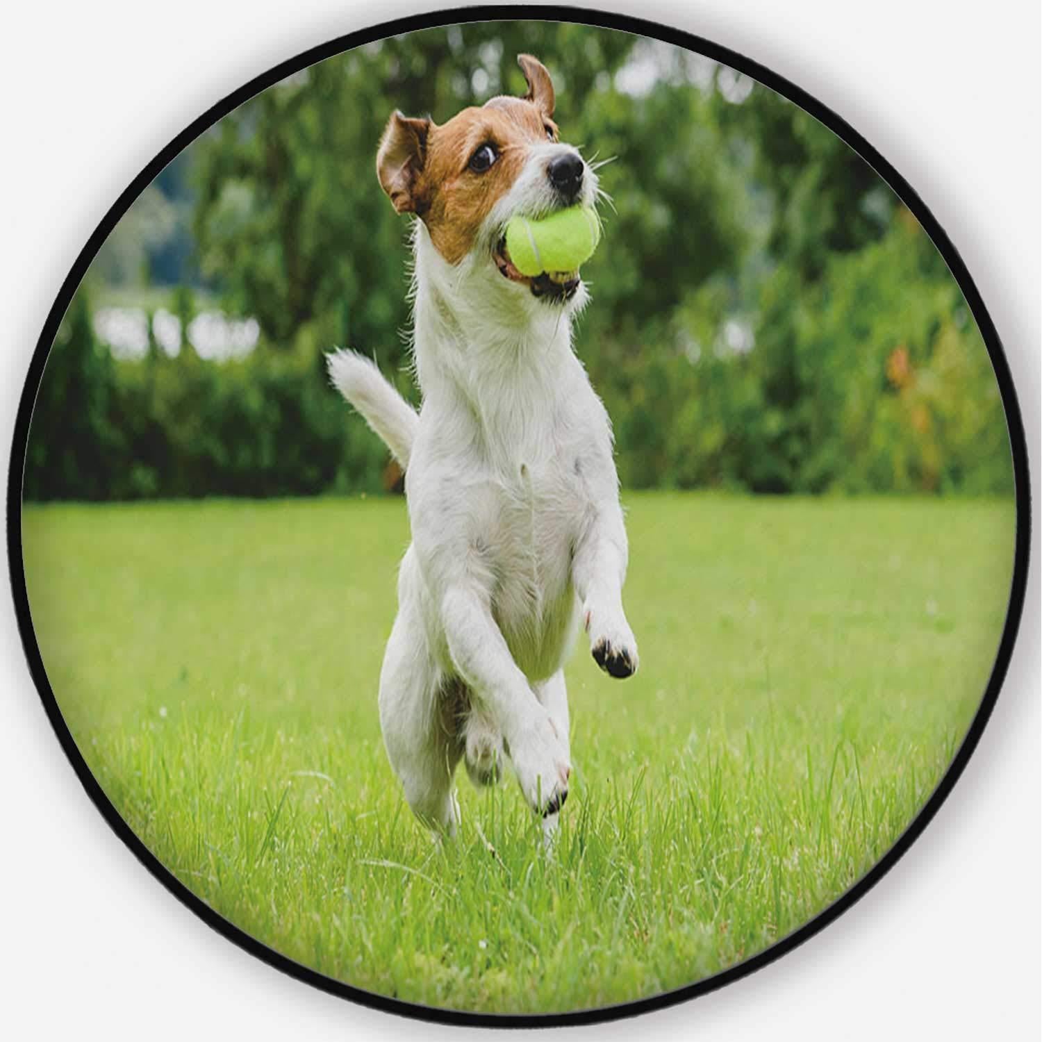 Funny Dog Playing with Tennis Ball Toy on Lawn Pet Mat,064281 for Dogs and Cats,5'Round