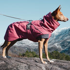 Hurtta - Expedition Parka, Waterproof, Windproof, Insulated Winter Dog Coat
