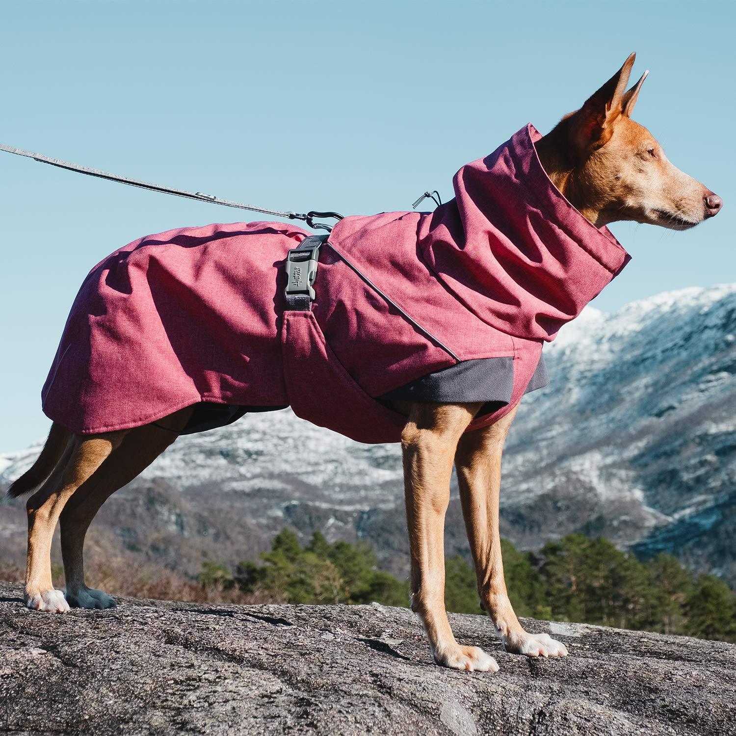 Hurtta - Expedition Parka, Waterproof, Windproof, Insulated Winter Dog Coat