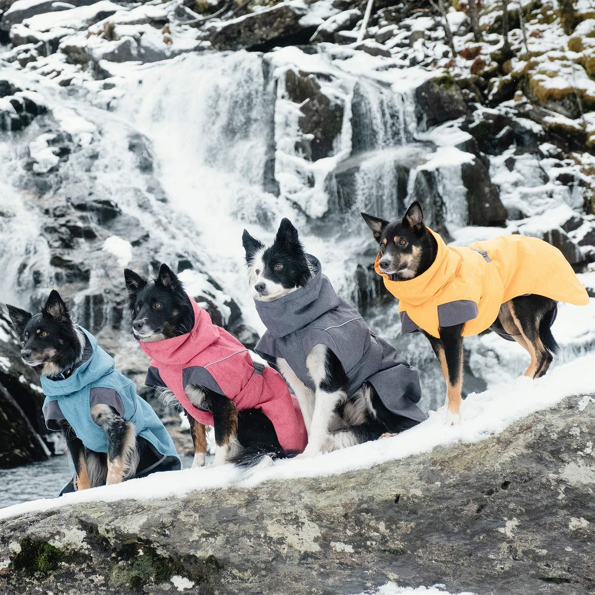Hurtta - Expedition Parka, Waterproof, Windproof, Insulated Winter Dog Coat
