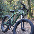 WTVA Adult Electric Bicycle 26“ Fat Tire Bike 750W 48V/13AH Battery EBike Moped Snow Beach Mountain Ebike Throttle &amp; Pedal Assist