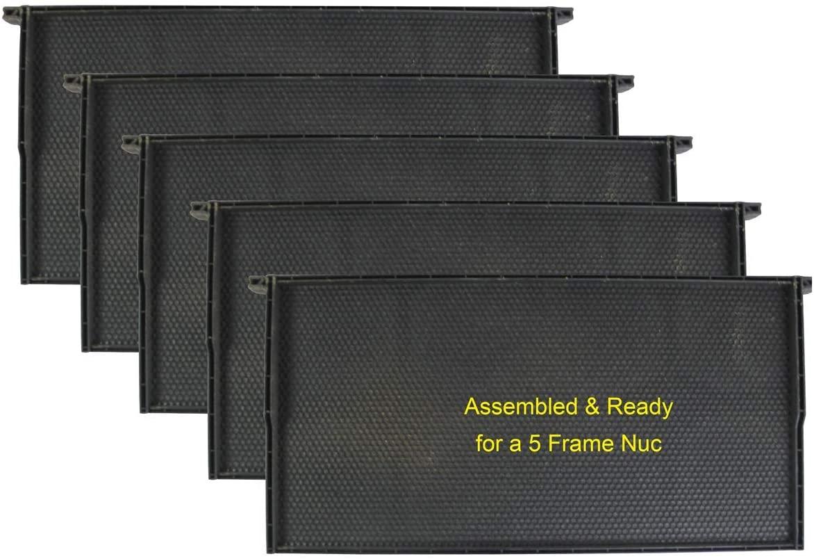hoover hives 10 frame langstroth beehive dipped in 100% beeswax starter kit (1 deep box &amp; accessories)