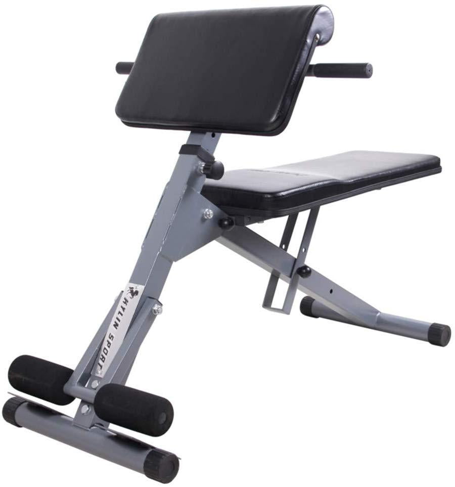 Multi Dumbbell Stool Fitness Chair Back Extension Training Roman Bench Exercise Equipment