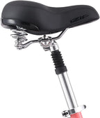 iZip Zest Bicycle