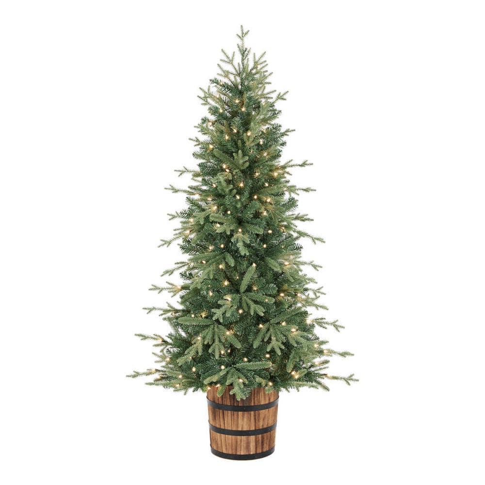 6 ft Fraser Fir Potted Christmas Tree