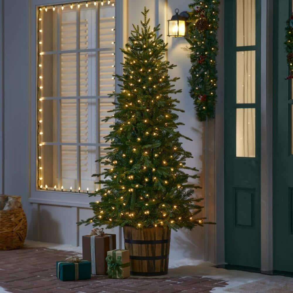 6 ft Fraser Fir Potted Christmas Tree