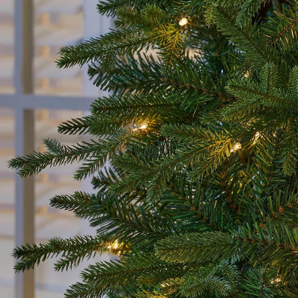 6 ft Fraser Fir Potted Christmas Tree